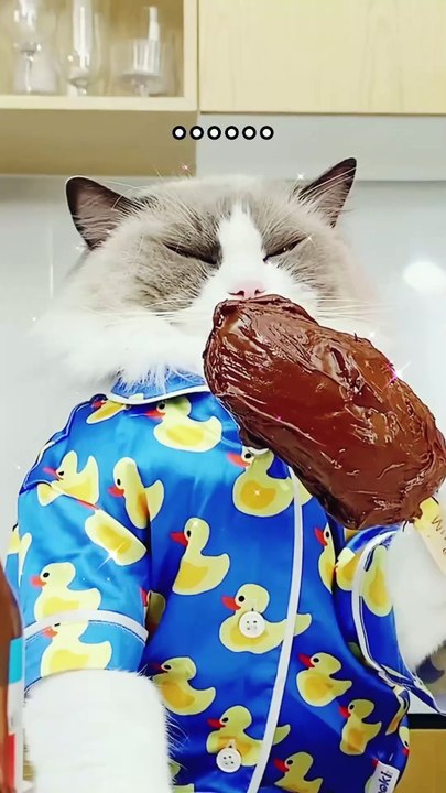 Funny video