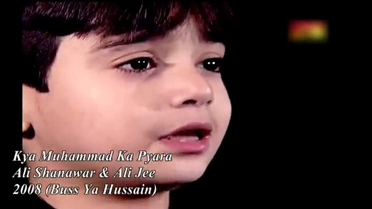 Kiya Muhammad Ka Pyara Nahi Hun - Ali Shanawar & Ali Jee  - 2008