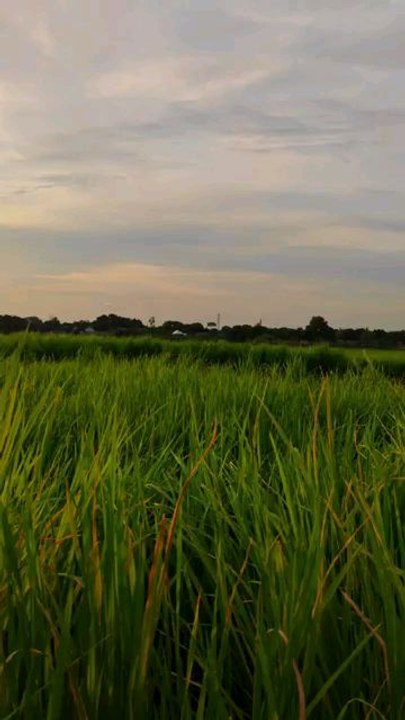 A beautiful combination of charming and beautiful landscapes, a masterpiece of nature