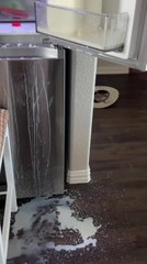 Kid Hilariously Asks for More Milk After Spill