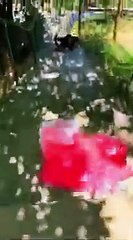 Rolling colorfull bottle on the stair