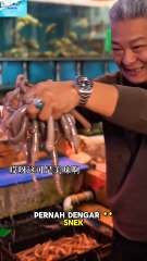 🎬Cacing Laut Jadi Snek? Memang Ada!