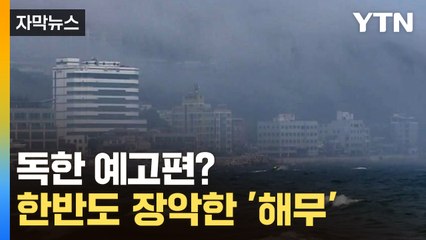 [자막뉴스] 예사롭지 않다...여름 전부터 시작된 이 바람 / YTN