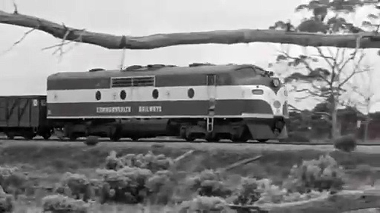 Camel trains to steel wheels: life on the Trans-Australian Railway