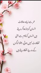 Urdu quotes Amazing|aqwal e zareen|gehri baatien |deeni baatien|goodbye December  گہری باتیں