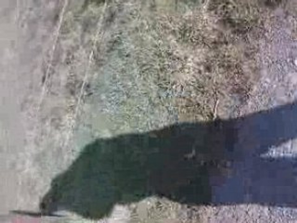 PEDOPHILLLLLLLLE XD