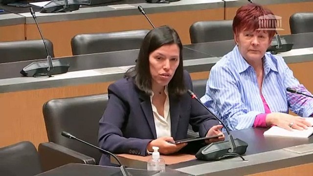 Commission des affaires étrangères et commission des affaires économiques : M. Laurent Saint-Martin, ministre délégué auprès du ministre de l’Europe et des affaires étrangères, sur la conjoncture mondiale du commerce extérieur - Mercredi 21 mai 2025