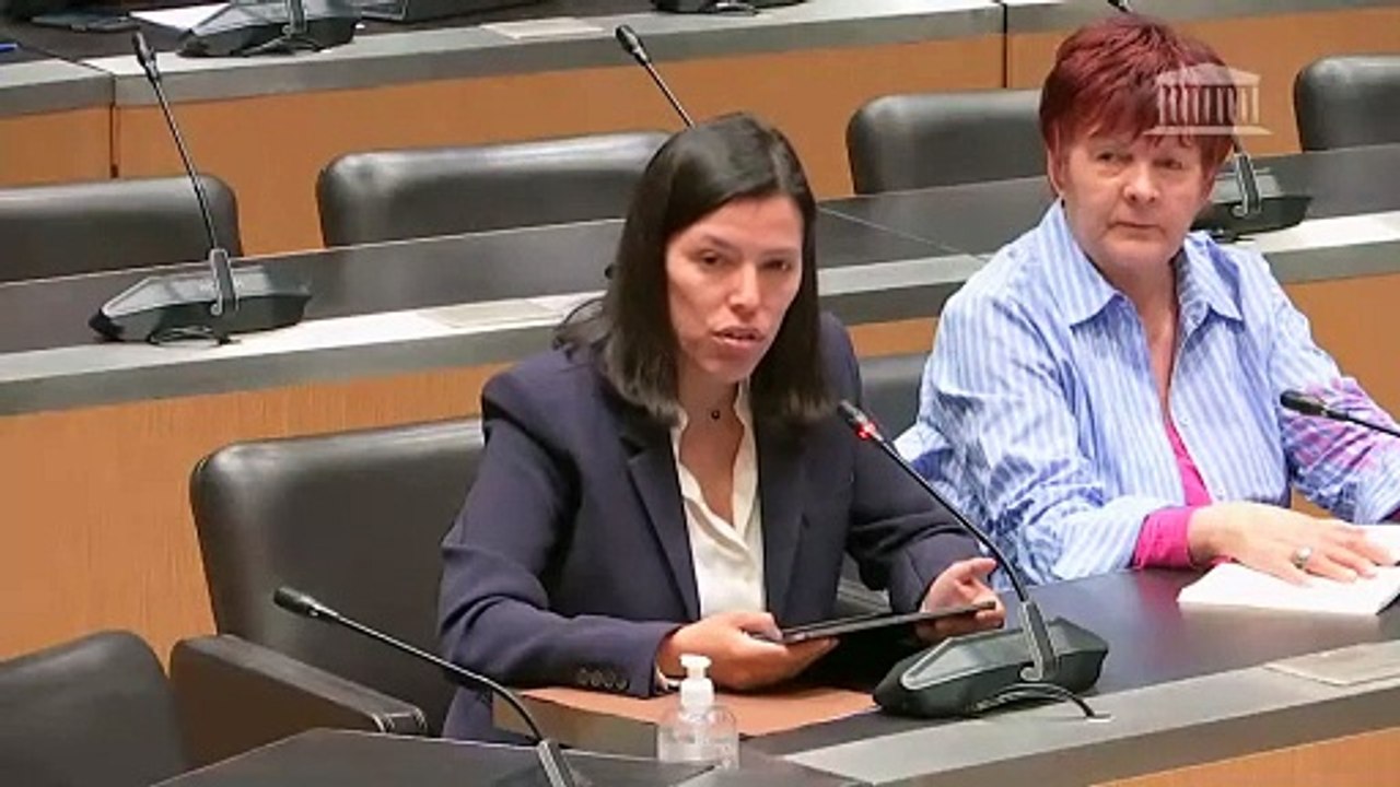 Commission des affaires étrangères et commission des affaires économiques : M. Laurent Saint-Martin, ministre délégué auprès du ministre de l’Europe et des affaires étrangères, sur la conjoncture mondiale du commerce extérieur - Mercredi 21 mai 2025