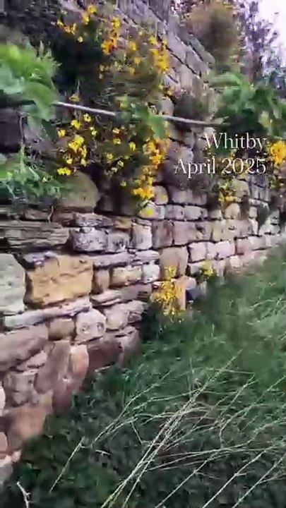 Whitby April 2025 Folge 03