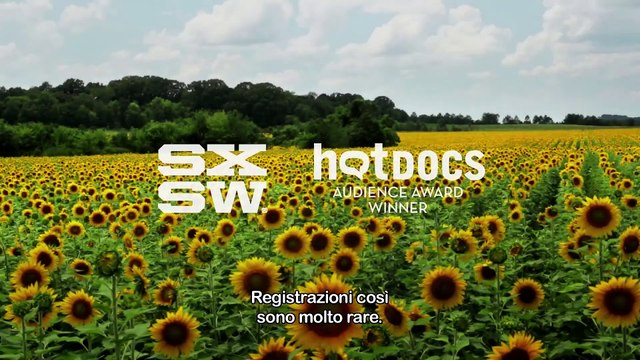 Muscle Shoals - Dove nascono le leggende | movie | 2013 | Official Trailer