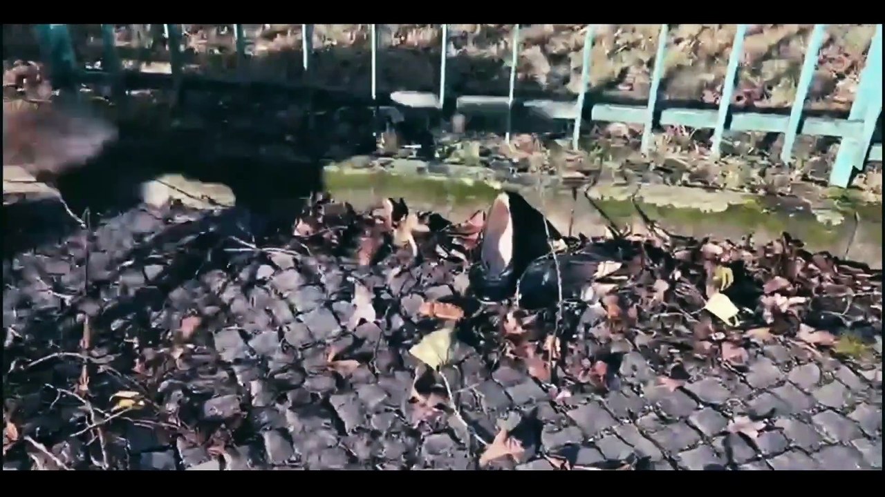 Jeder schreibt für sich allein | movie | 2023 | Official Trailer