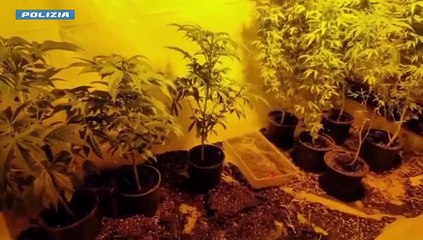 MILANO. COLPO ALLO SPACCIO INTERNAZIONALE: 24 ARRESTI, DUE IN SPAGNA  (21.05.25)