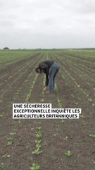 Agriculture : "Le printemps le plus sec depuis plus d'un siècle"