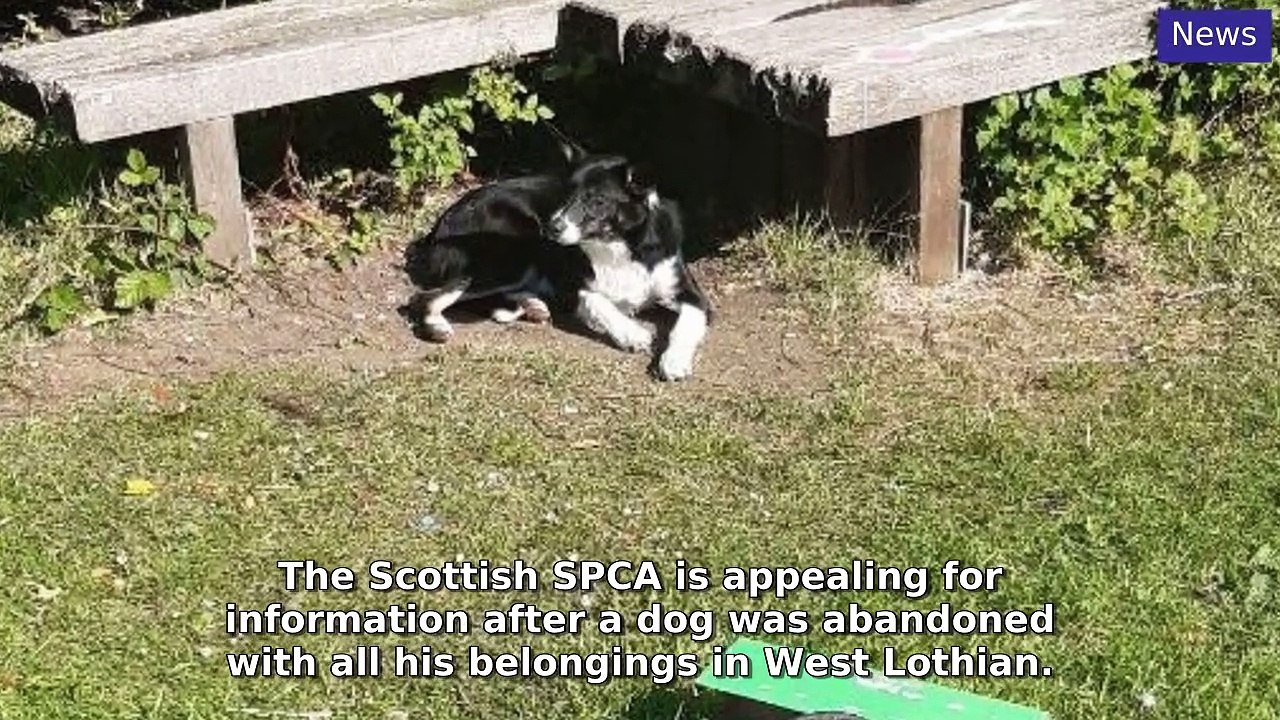 Edinburgh Evening News Morning Update 22 May, 2025
