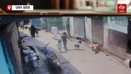 चलते-चलते आई मौत VIDEO; घर से पैदल दुकान जा रहा 25 साल का युवक अचानक सड़क पर गिरा, परिजनों का दावा-हार्ट अटैक से गई जान