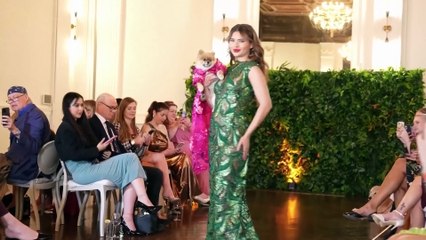 Cani in posa con stile al Pet Gala di New York ispirato al Met
