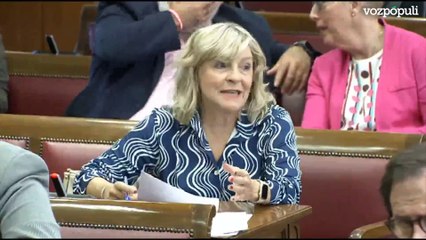Alegría acusa a la senadora de UPN de mentir en la Comisión de Investigación