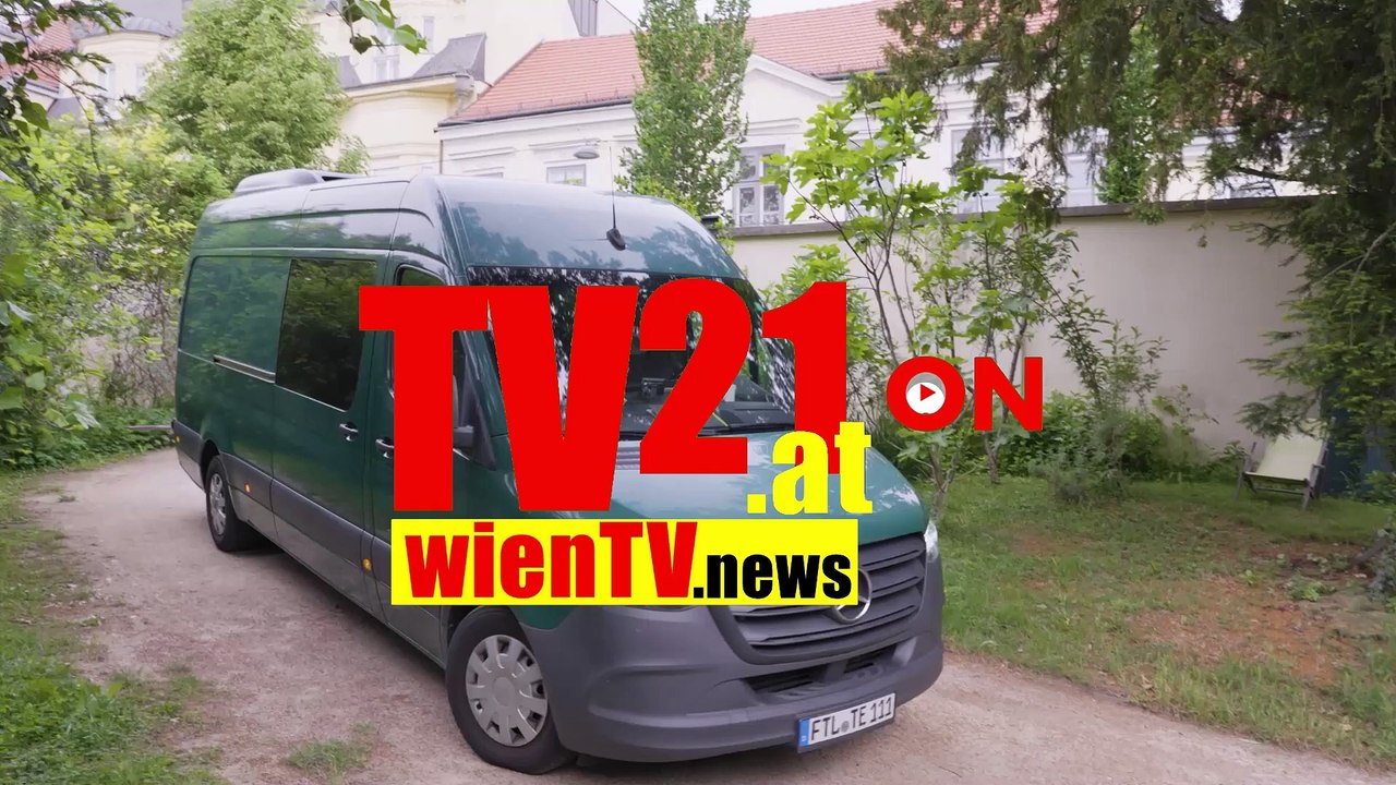 Junges Orang-Utan-Männchen im Tiergarten Schönbrunn angekommen