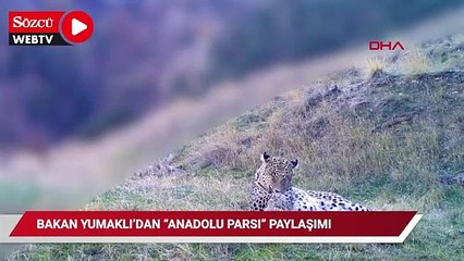 Bakan Yumaklı'dan 'Anadolu parsı' paylaşımı