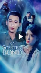 a scented bond chinese drama