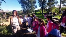 Proyecto FEACYT-2025
