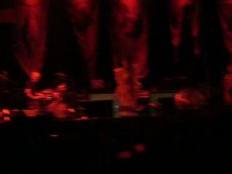 Bjork-Earth Intruders-Rock en Seine-26Aout2007