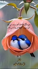 Urdu Sad Shayari | Urdu Best Poetry | jab ashiqi ka bhoot