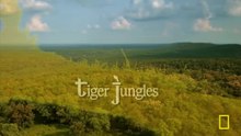 Sir David Attenborough - Tiger Jungles - Secrets of Wild India - Full Documentary