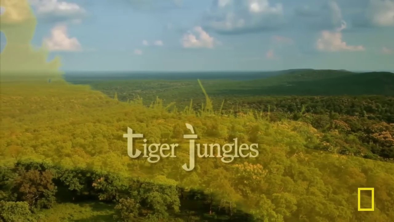 Sir David Attenborough - Tiger Jungles - Secrets of Wild India - Full Documentary