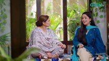 Na Tum Jano Na Hum Episode 29 (Subtitle) 12th May 2025 - Hassan Khan - Hina Tariq - Green TV