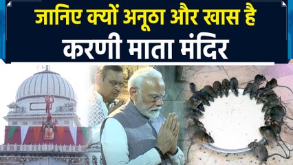 Bikaner के इस मंदिर में भोग प्रसाद खाते हैं चूहे, PM Modi ने की पूजा-अर्चना