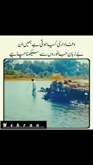 Mehran Ali - Follow 🙏➡️ Mehran Ali(HD)