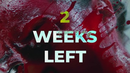 2 WEEKS LEFT! Berlin Music Video Awards 2025
