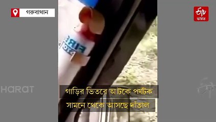 কালিম্পঙে বাঁয়ে পাহাড়, ডানে খাদ, সামনে দাঁতাল ! গাড়িতে ভগবানের নাম জপ; হাড়হিম ভিডিয়ো