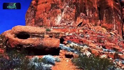 وثائقي تحقيقات جرائم القتل_ بعد المدرسة... طالب يختفي والوالدان في حالة من الفزع!!!