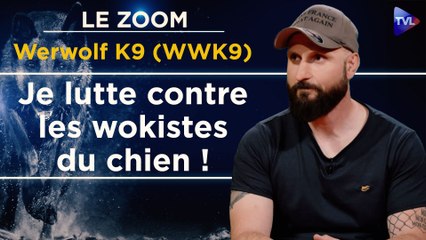 Zoom - Werwolf K9 (WWK9) : "L’Art du dressage : éduquer sans trahir la nature du chien"