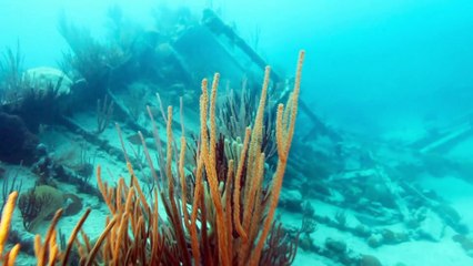 Triángulo De Las Bermudas: Mitos Y Verdades Que No Conoces