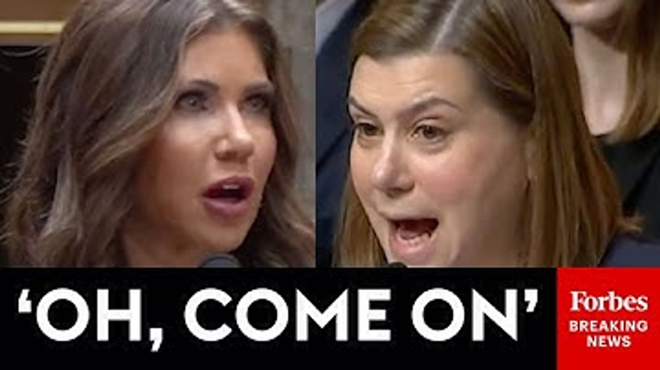 'Have Any American Citizens... Been Deported?': Slotkin Fiercely Confronts Noem Over Deportations