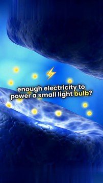 Your Brain is More Amazing Than You Think: 15 Mind-Blowing Neuroscience Facts!