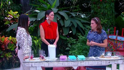 bd-cubitos-de-té-220525