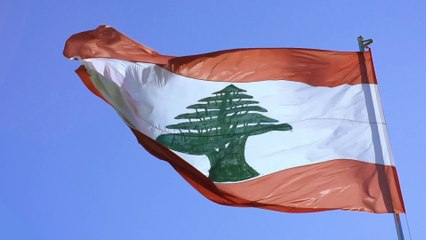 Roma-Beirut, un tavolo tecnico per l'agricoltura
