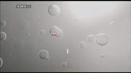 Et godt kvarter -- Vejle (Undertekster) || 2007 || DR1