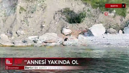 Bartın'da sahile yavru ayı inince vatandaşlar uyarıldı