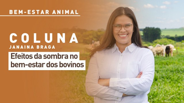 Bem-estar animal: efeitos da sombra no bem-estar dos bovinos