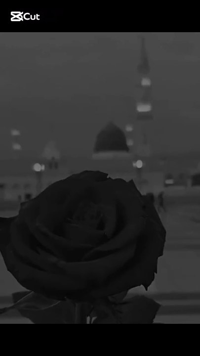 شرک کرنا سب سے بڑا گناہ ہے | ایمان کو بچائیے | اسلامی پیغام
