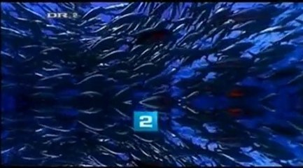 Et godt kvarter -- Vejle || 2007 || DR2