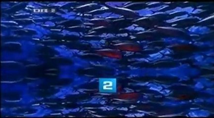 Et godt kvarter --- Vejle ||| 2007 ||| DR2