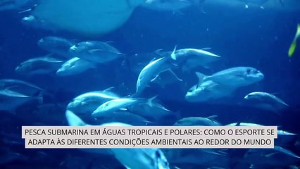 Pedro Guimarães Explora_ Pesca Submarina em Águas Tropicais e Polares