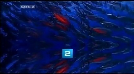 Et godt kvarter | Vejle - 2007 - DR2