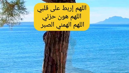 قران كريم بصوت جميل صدقه جاريه على روح فقيد الشباب مهندس عبدالله ياسر